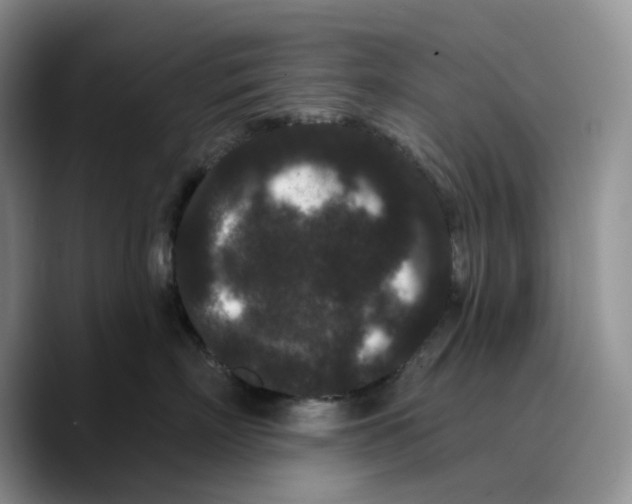 X0000089740718200707201902