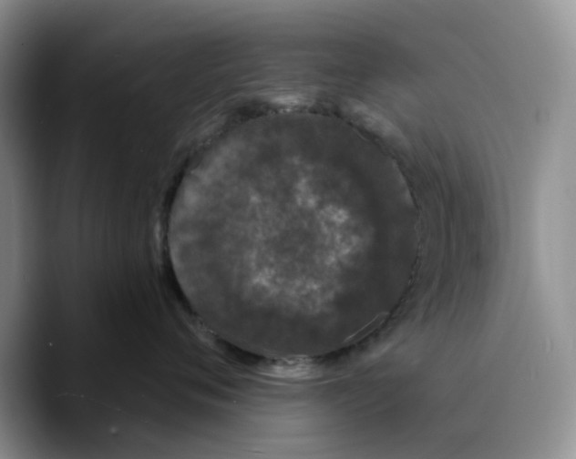 X0000089740720200707201902