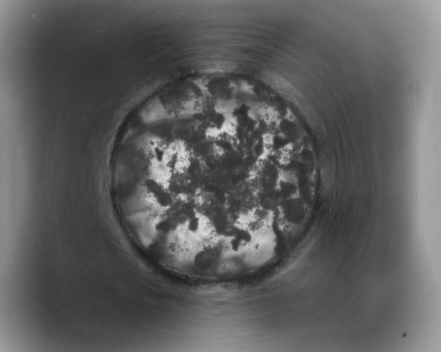 X0000089740721200707201901