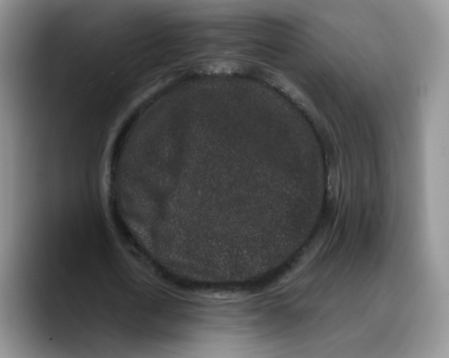 X0000089740722200707201901