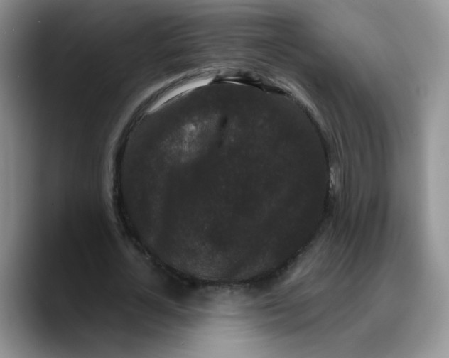 X0000089740724200707201901