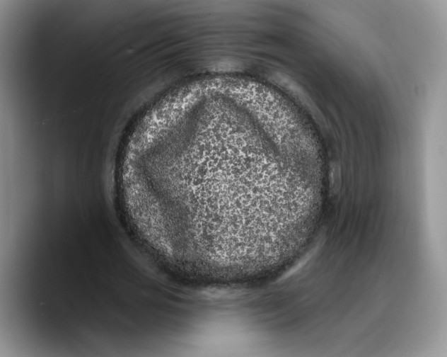 X0000089740725200707201901