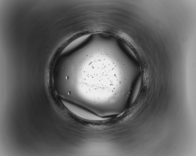 X0000089740726200707201901