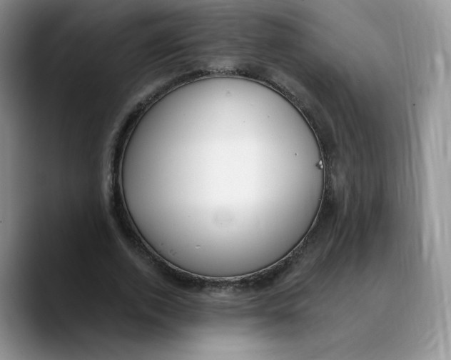 X0000089740728200707201901