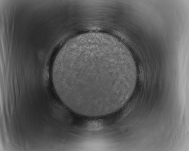 X0000089740731200707201901