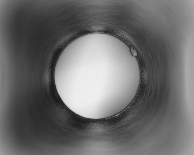 X0000089740732200707201901