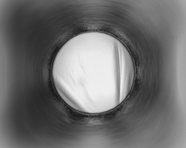 X0000089740733200707201901