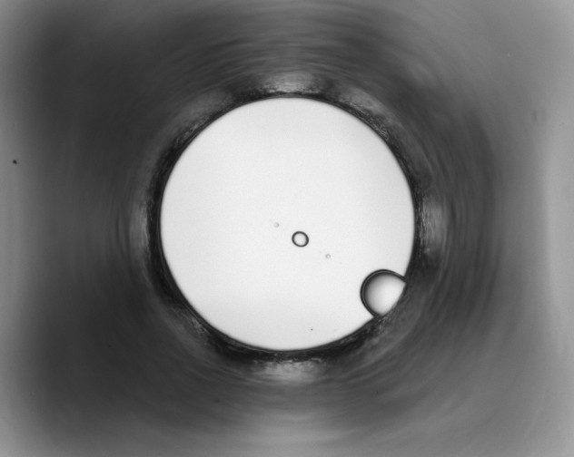 X0000089740734200707201901
