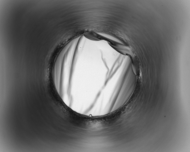 X0000089740735200707201901