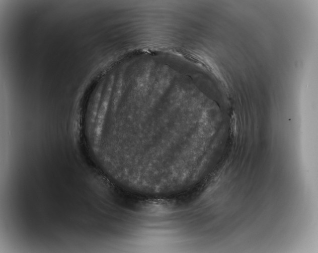 X0000089740736200707201901