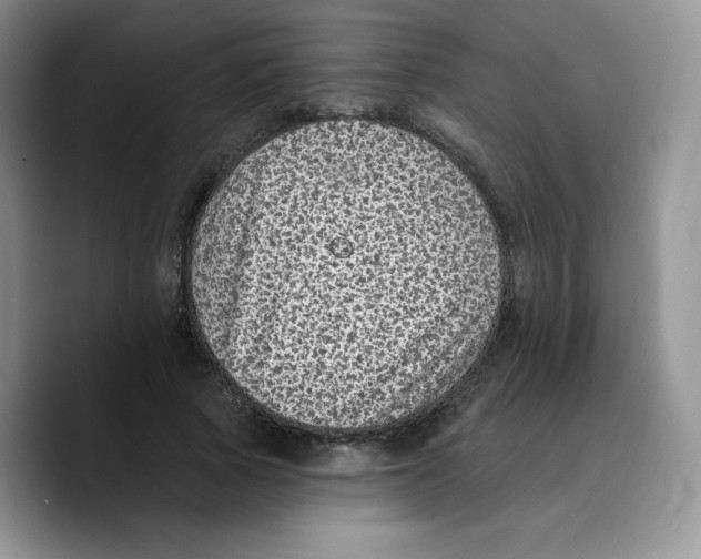 X0000089740737200707201901