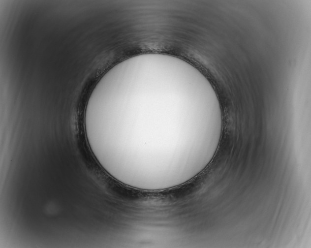 X0000089740738200707201901