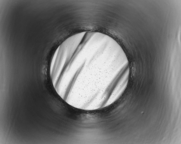 X0000089740739200707201901