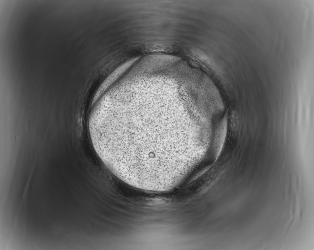 X0000089740741200707201901