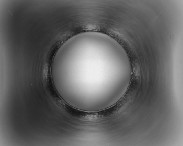 X0000089740744200707201901