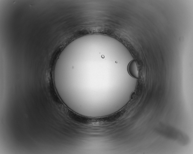 X0000089740746200707201901