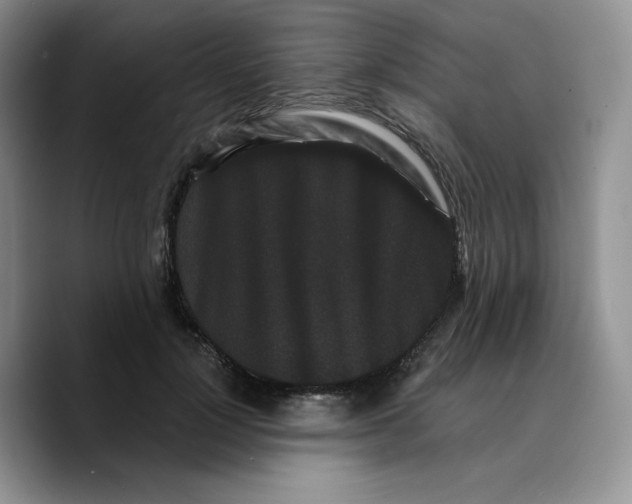 X0000089740748200707201901