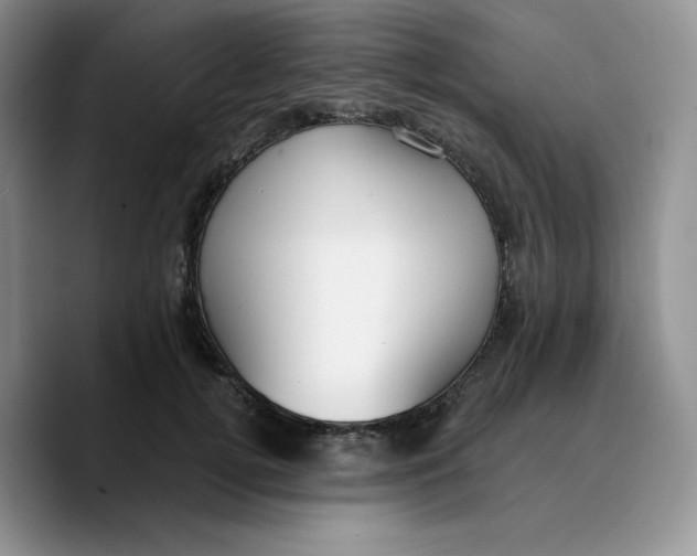 X0000089740752200707201901