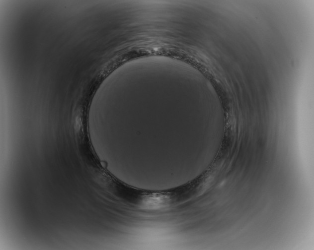 X0000089740754200707201901
