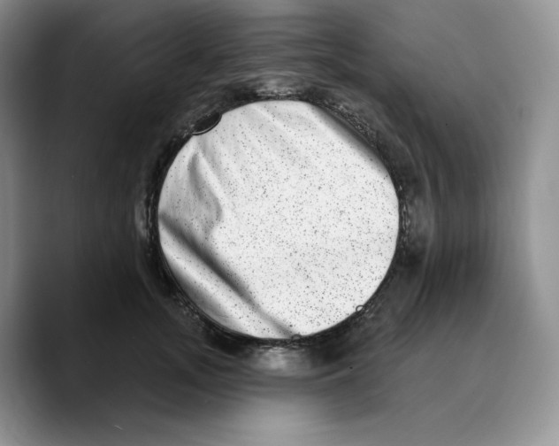 X0000089740755200707201902