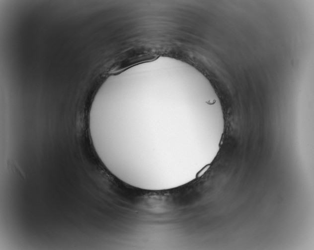X0000089740756200707201902