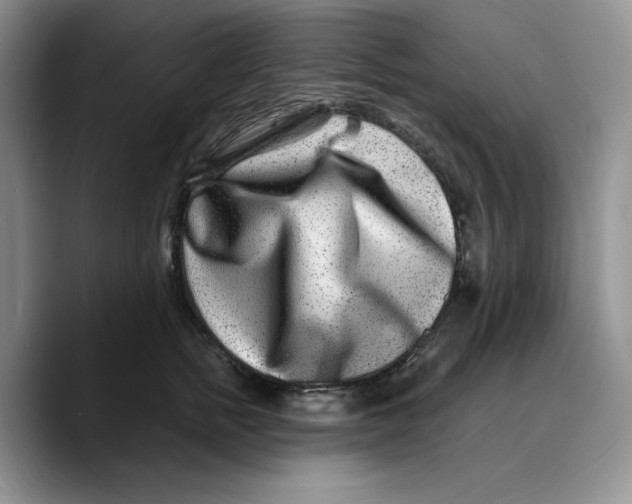 X0000089740758200707201902