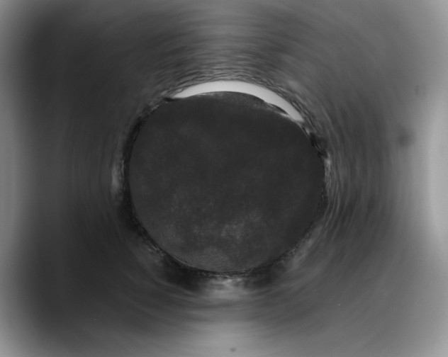 X0000089740760200707201902