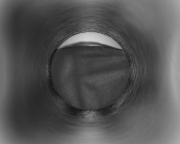 X0000089740762200707201902