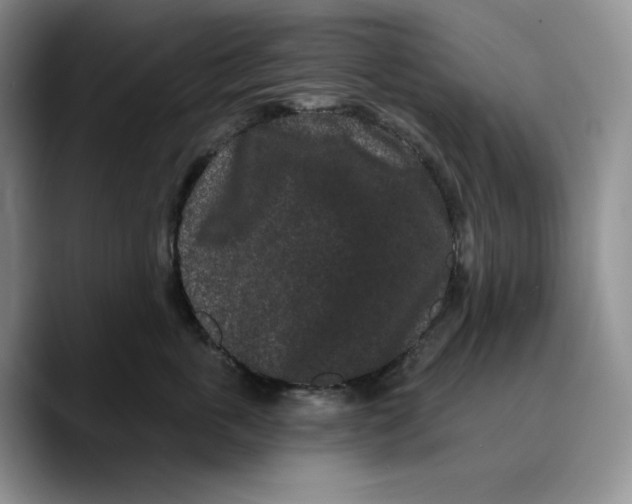 X0000089740763200707201902