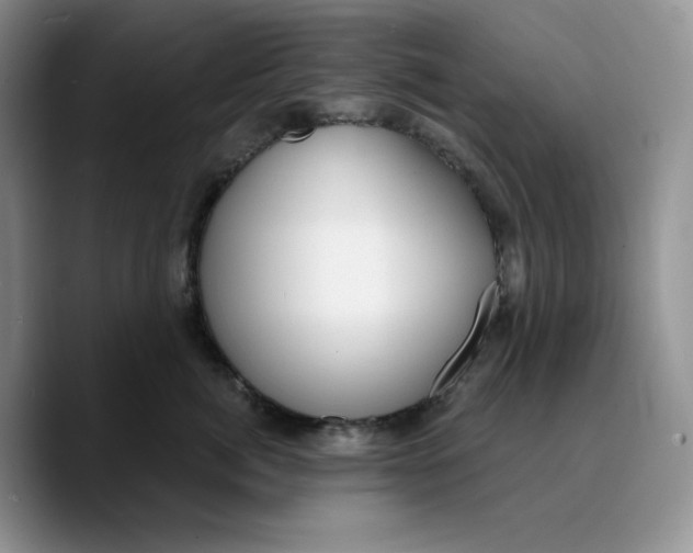 X0000089740764200707201902