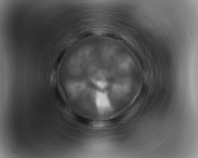X0000089740766200707201902