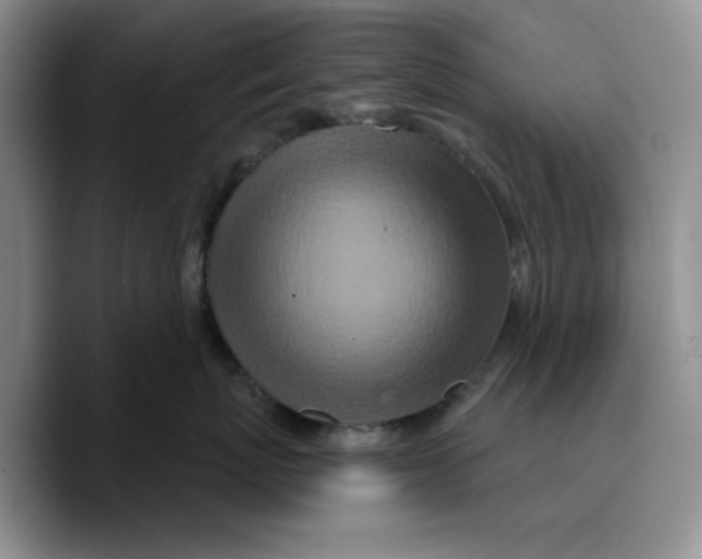 X0000089740767200707201902