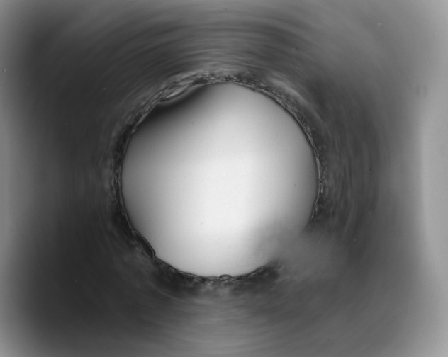 X0000089740773200707201901