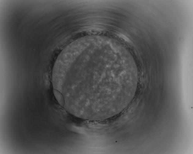 X0000089740774200707201901