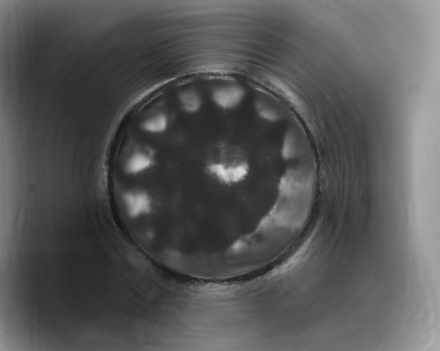 X0000089740779200707201901