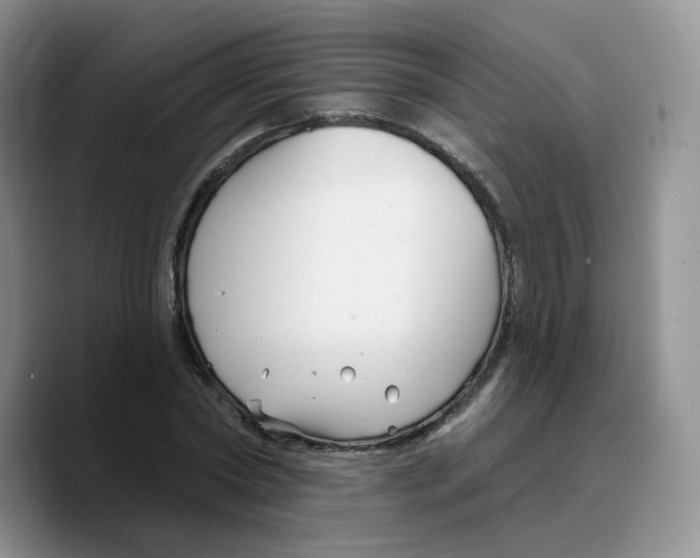 X0000089740782200707201901