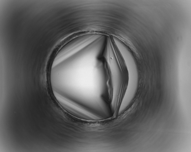 X0000089740784200707201901
