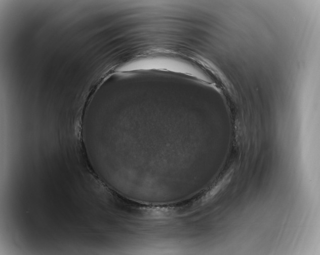 X0000089740785200707201901