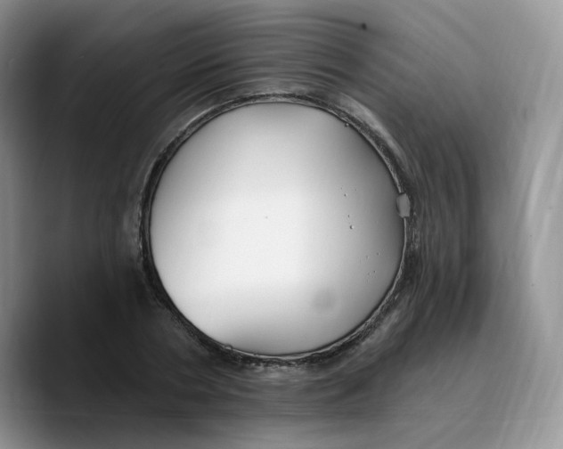X0000089740786200707201901