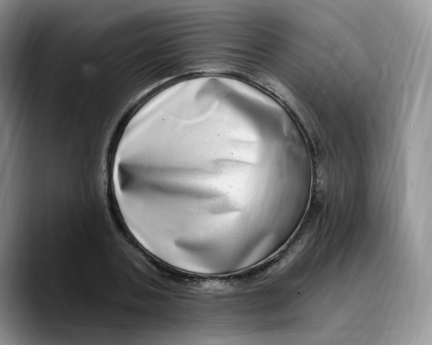 X0000089740787200707201901
