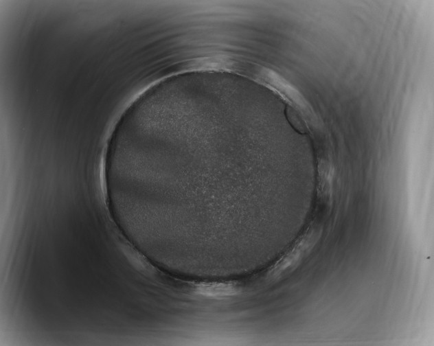 X0000089740788200707201901