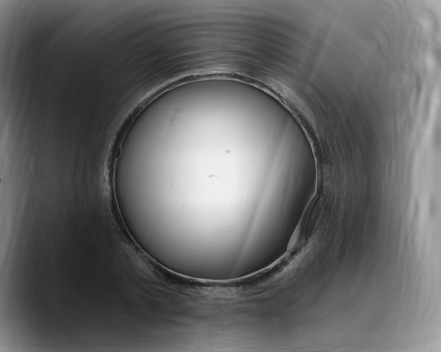 X0000089740789200707201901