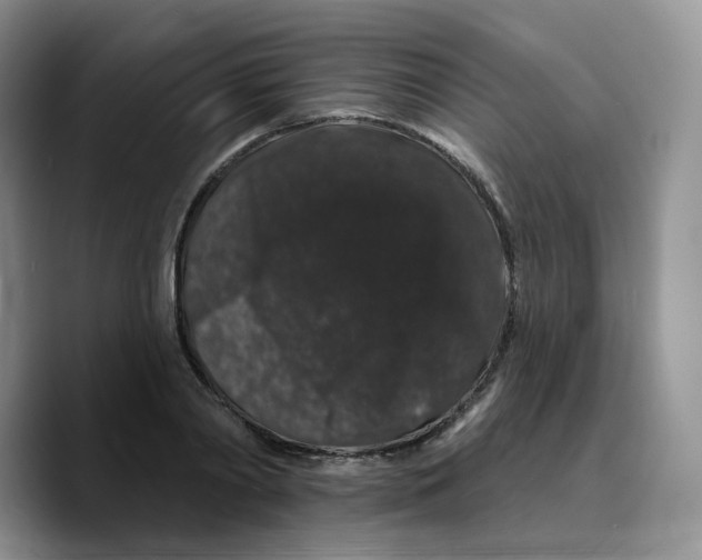 X0000089740790200707201901