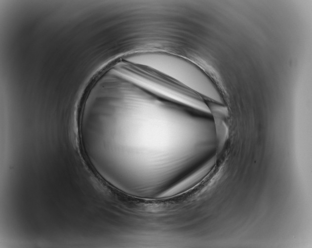 X0000089740792200707201901