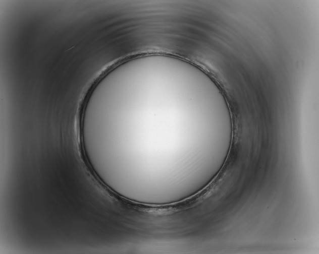 X0000089740796200707201901