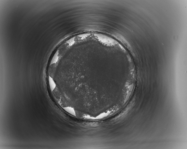 X0000089740798200707201901