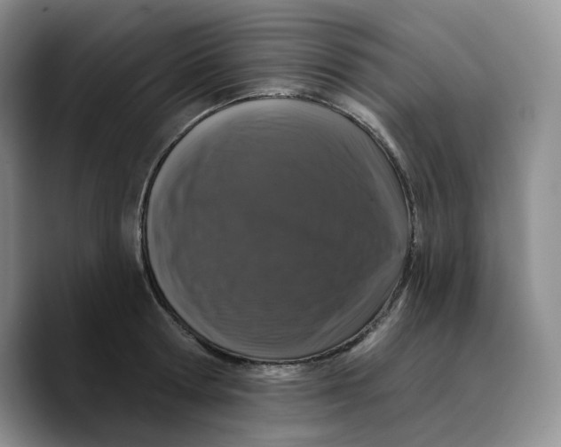 X0000089740802200707201901