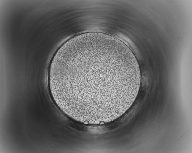 X0000089740804200707201901