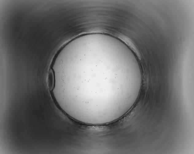 X0000089740805200707201901