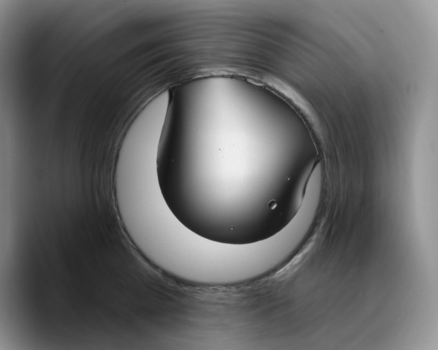 X0000089740809200707201901